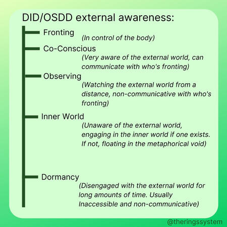 Fronting (in control of the body) / Co-Conscious (very aware of the external world, can communicate who's fronting) / Observing (watching the external world from a distance, non-communicative with who's fronting) / Inner World (unaware of the external worl